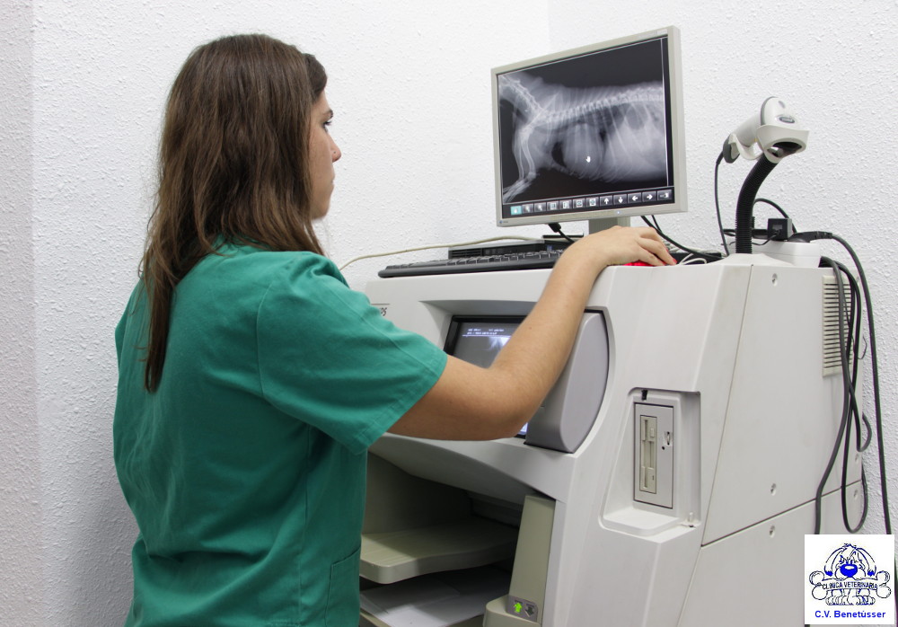 cvbenetússer clínica radiografía