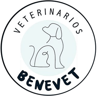 Veterinarios BENEVET