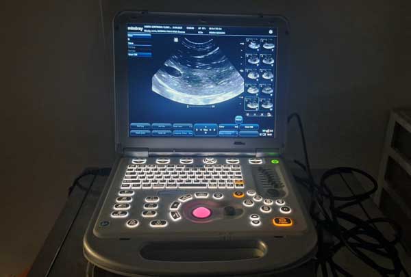 ecografia veterinaria